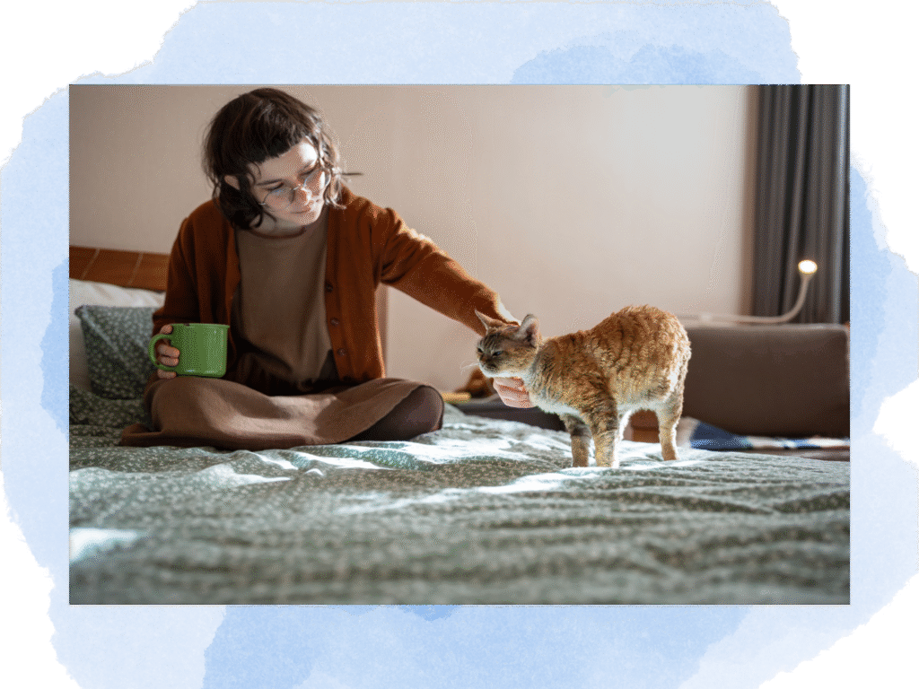 felinoterapia